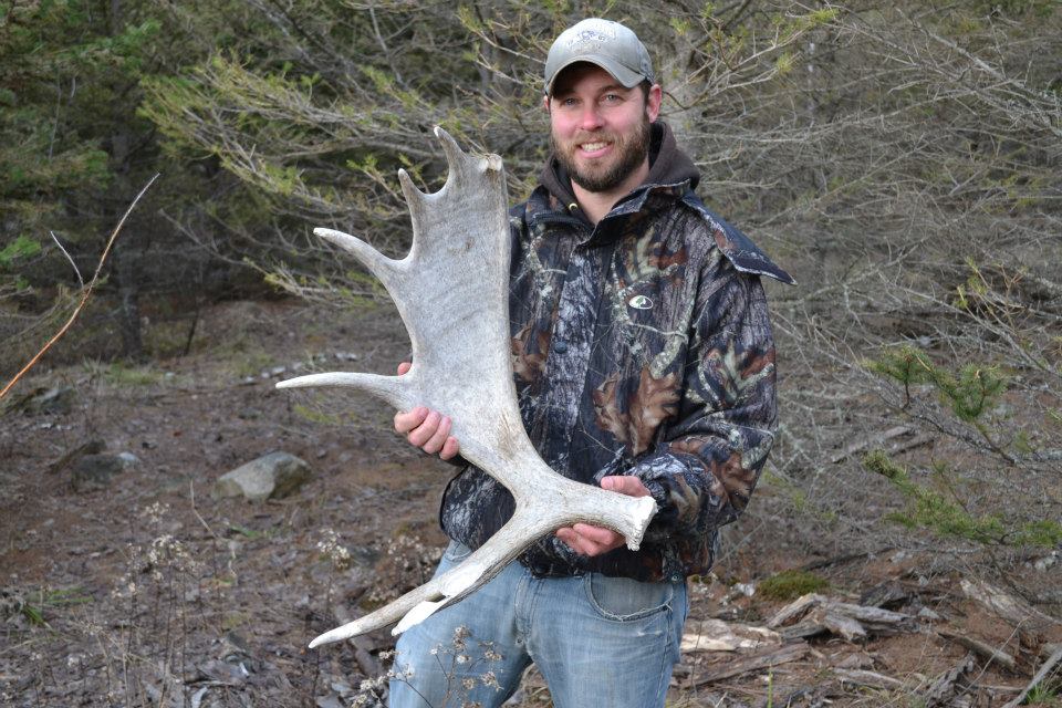A hunter with shed moose antler