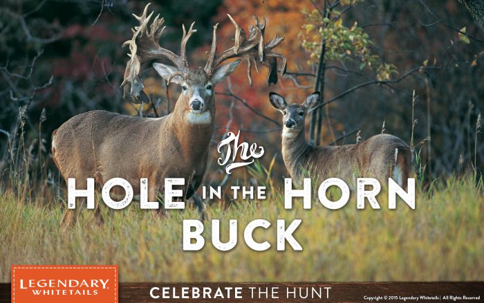 Legendary Whitetails - Hole in the Horn Buck