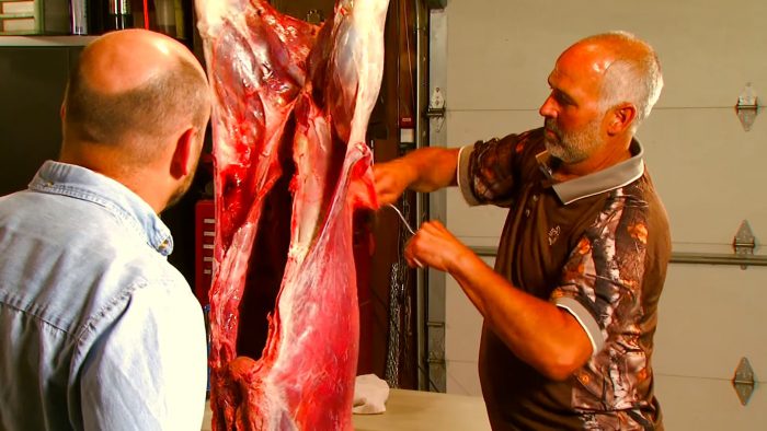 How to Process a deer from start to finish