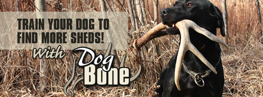 Dog Bone Shed Antler Training System
