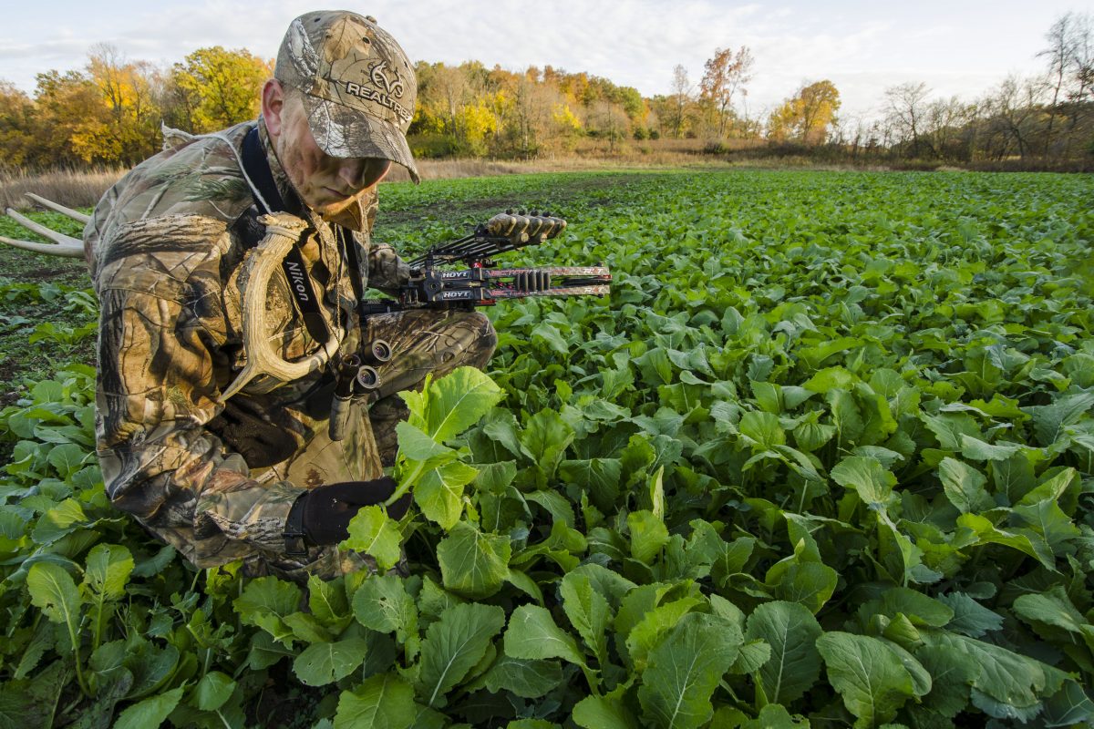 What To Plant In Small Food Plots Legendary Whitetails Legendary Whitetail S Blog