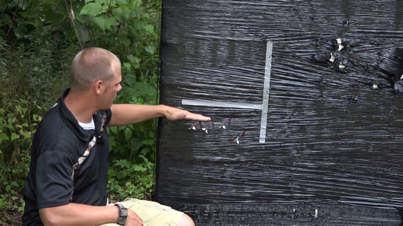 Golpear bajo requiere mover la mira del arco hacia abajo para llevar las flechas hacia arriba