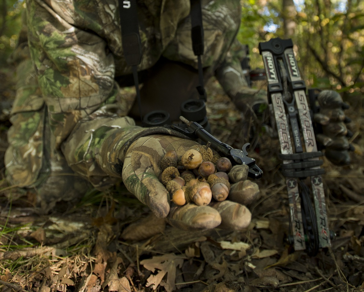 10 Essential Early Season Deer Hunting Tips Legendary Whitetails