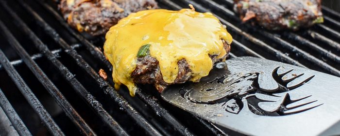 the best venison burger