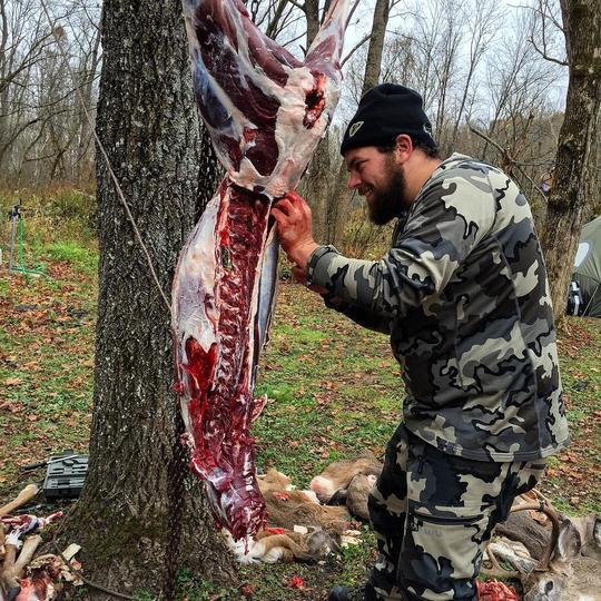 Butchering a deer from a tree