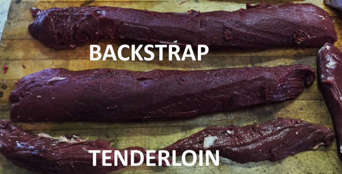 3 Hunting Terms You Might be Getting Wrong - Legendary Whitetails