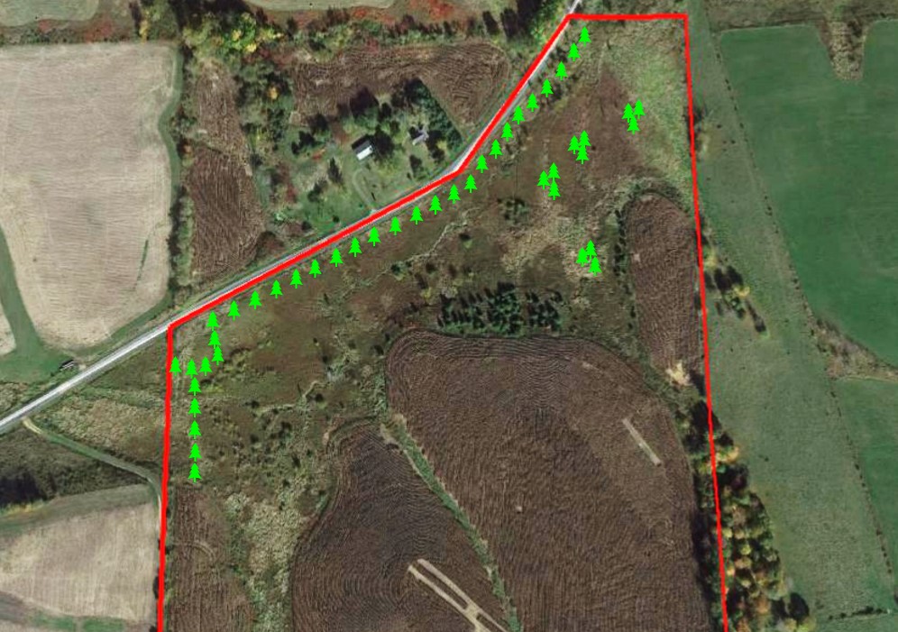 screen tree planting map 1 Fast Growing Screen Trees for Deer Hunting Land