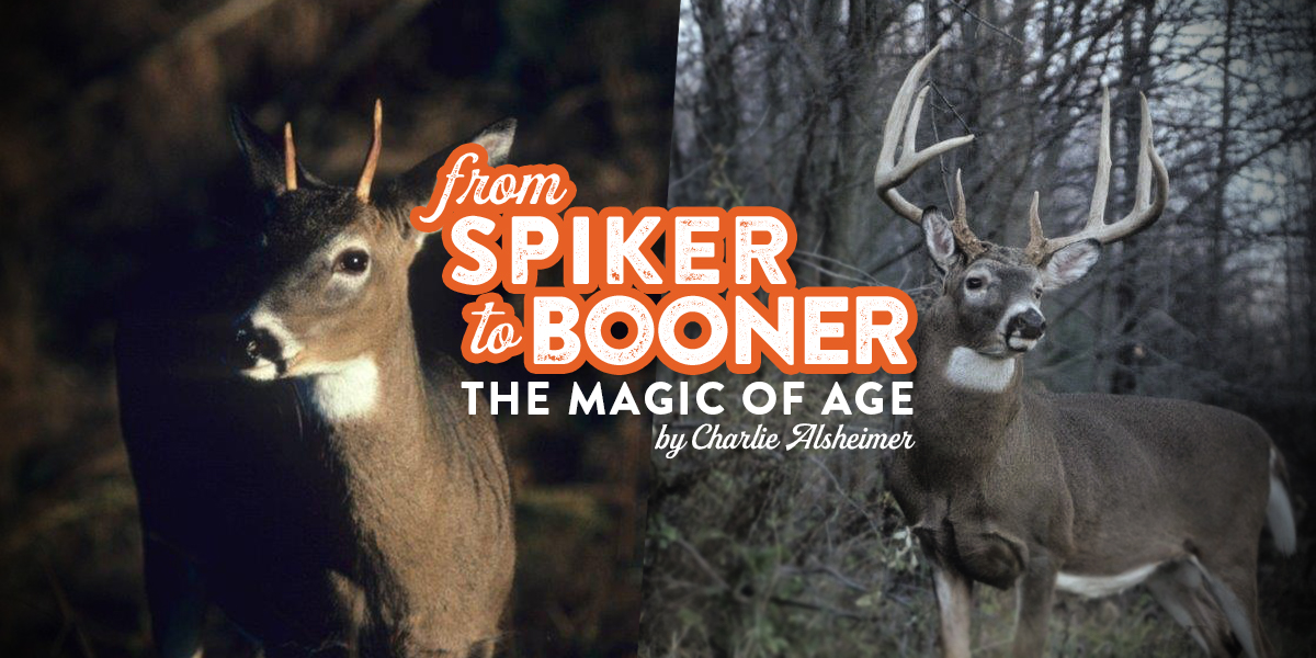 Spike Buck to Booner: The Magic of Age - Legendary Whitetails - Legendary  Whitetail's Blog