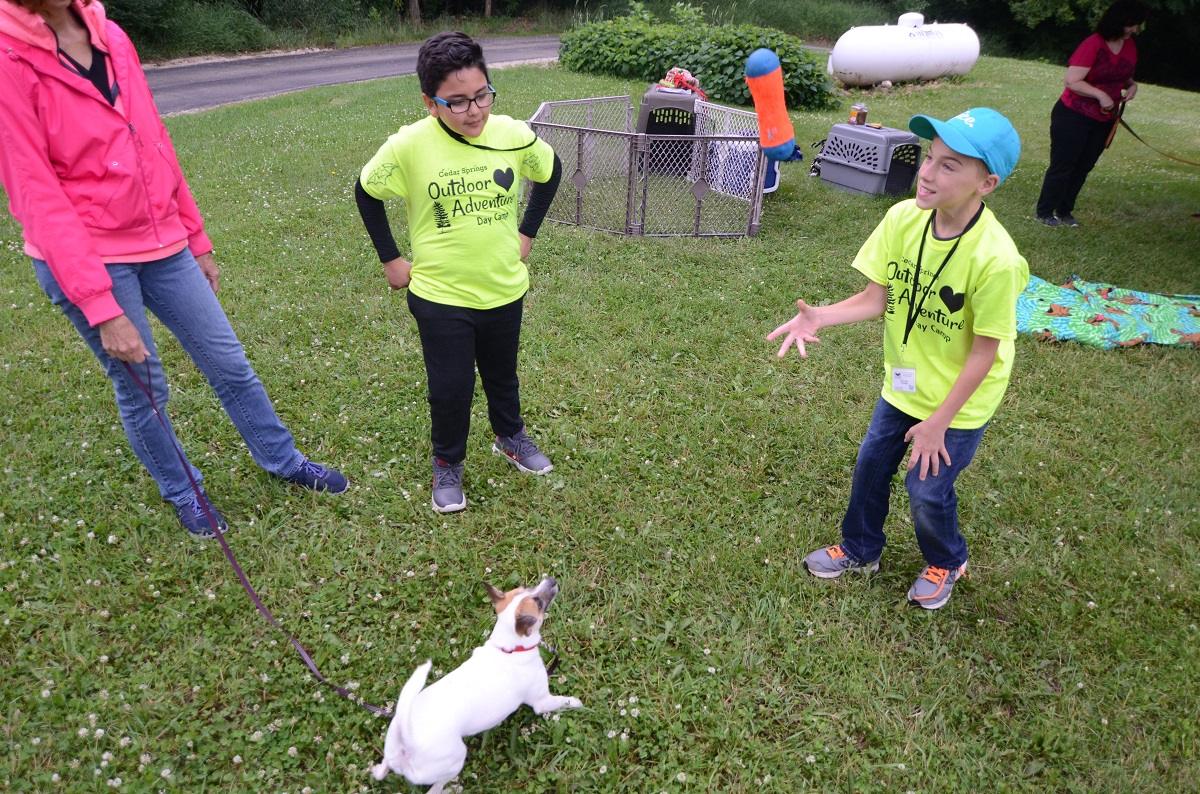 playing with animals at Cedar Springs Adventure Camp